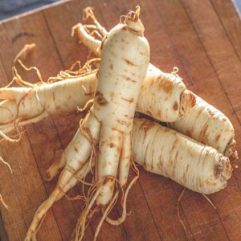 American ginseng